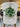 Frosted Mistletoe Bundle - TwoInspireYou