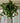 Frosted Mistletoe Bundle - TwoInspireYou