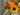 Bountiful Autumn Gatherings Bucket Wreath - TwoInspireYou