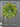 Spring Real Touch Tulip Wreath and Bay Leaf Greenery - TwoInspireYou