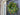 Spring Real Touch Tulip Wreath and Bay Leaf Greenery - TwoInspireYou