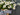 White Black-Eyed Susan in Natural Basket Wreath - TwoInspireYou