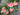 Pink Garden Peony Wreath - TwoInspireYou