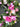 Blushing Pink Peony Wreath - TwoInspireYou