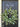 Spring Eucalyptus Wreath with White Flowers - TwoInspireYou