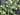 Spring Eucalyptus Wreath with White Flowers - TwoInspireYou