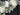 White Peony & Lamb's Ear Wreath - TwoInspireYou