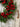 Winter Boxwood and Holly Berry Wreath - TwoInspireYou