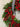 Winter Boxwood and Holly Berry Wreath - TwoInspireYou