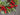 The Spirit of Christmas Wreath - TwoInspireYou