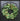 Magnolia Leaf Wreath - TwoInspireYou