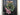 Eucalyptus and ranunculus wreath, front view, black front door, spring and summer wreath, pink flowers