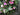 Pink Peony Wreath - TwoInspireYou