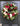 Holiday Peony Wreath