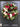 Holiday Peony Wreath