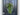 Evergreen Fern Swag - TwoInspireYou