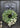 Ranunculus Cascading Eucalyptus Wreath - TwoInspireYou