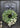 Ranunculus Cascading Eucalyptus Wreath - TwoInspireYou