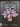 Lavender Lilac Bucket Wreath