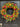 Colorful Daisy Wreath