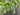 Year Round Forest Green Willow and Bay Leaf Wreath - TwoInspireYou