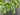 Year Round Forest Green Willow and Bay Leaf Wreath - TwoInspireYou