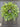Year Round Forest Green Willow and Bay Leaf Wreath - TwoInspireYou