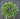 Year Round Forest Green Willow and Bay Leaf Wreath - TwoInspireYou