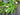 Spring Tulip, Willow and Wildflower Wreath with Bay Leaf - TwoInspireYou