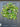 Spring Tulip, Willow and Wildflower Wreath with Bay Leaf - TwoInspireYou