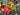 Colorful Summer Garden Wreath - TwoInspireYou
