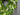 Lily of the Valley Cascading Wreath - TwoInspireYou