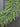 Lush Greenery Wreath with Lavender - TwoInspireYou