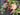 Springtime Garden Wreath - TwoInspireYou