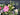 Springtime Garden Wreath - TwoInspireYou