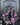 Peony Wreaths