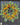 Summer Wreaths