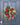 Christmas & Winter - Traditional Round