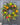 Fruit Wreath Collection