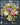 Hydrangea Collection