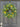Magnolia and Lemon Wreath with White Flowers - TwoInspireYou