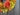 Fall Hydrangea Wreath – 26" Extra Full Autumn Door Decor - TwoInspireYou