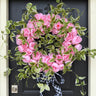 Pink Peony & Variegated Greenery Wreath - TwoInspireYou