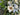 Winter Magnolia Basket Arrangement - TwoInspireYou