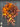 Rust Bay Leaf Pumpkin and Gourd Cascading Wreath