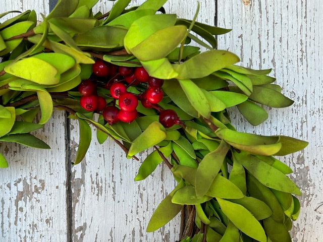 Mini Boxwood Christmas Window Wreath