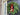 Norfolk Pine Wreath with Decorative Gold Hanging Bells - TwoInspireYou