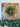 Norfolk Pine Mini Wreath for Christmas, Set of 2 - TwoInspireYou