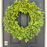 Year Round Boxwood Wreath - TwoInspireYou