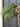Evergreen Angel Wings Swag Wreath - TwoInspireYou